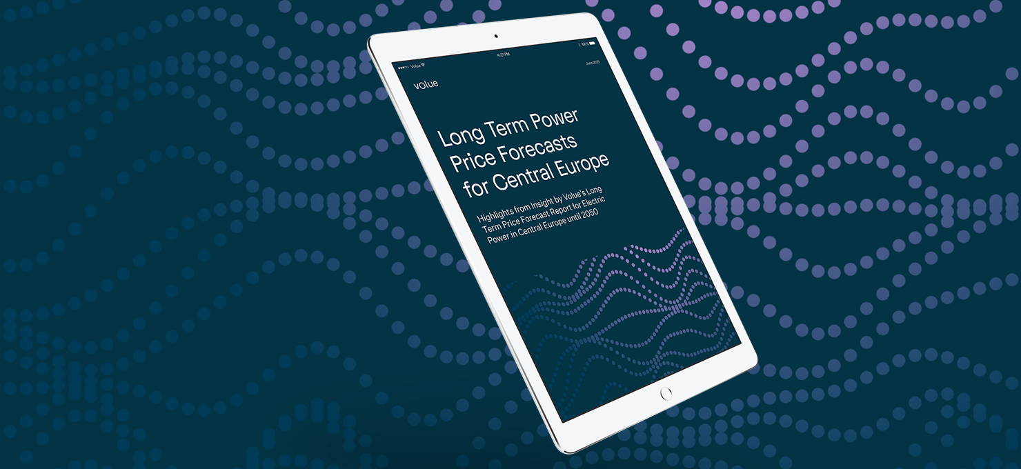 Screen with a preview of Insight's Long-Term Report