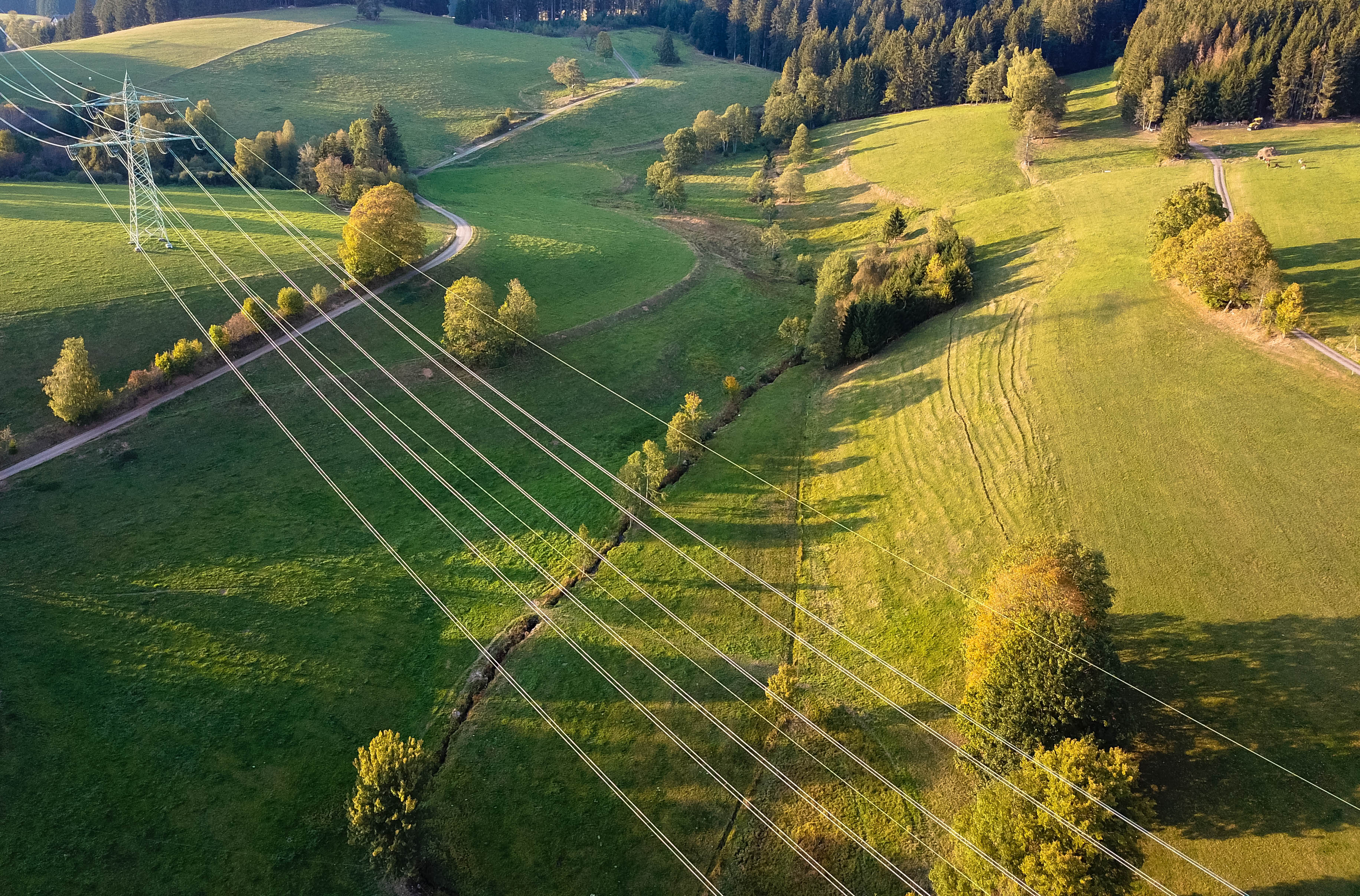 High voltage electricity lines in the field.